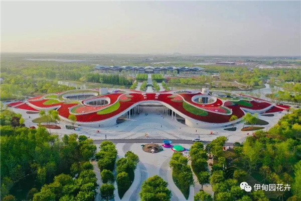 上海｜親自體驗中國花卉界的“奧林匹克”盛宴！